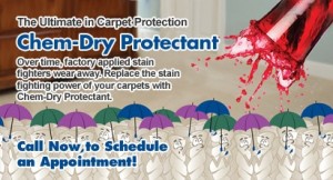 Carpet Cleaning Lakeport